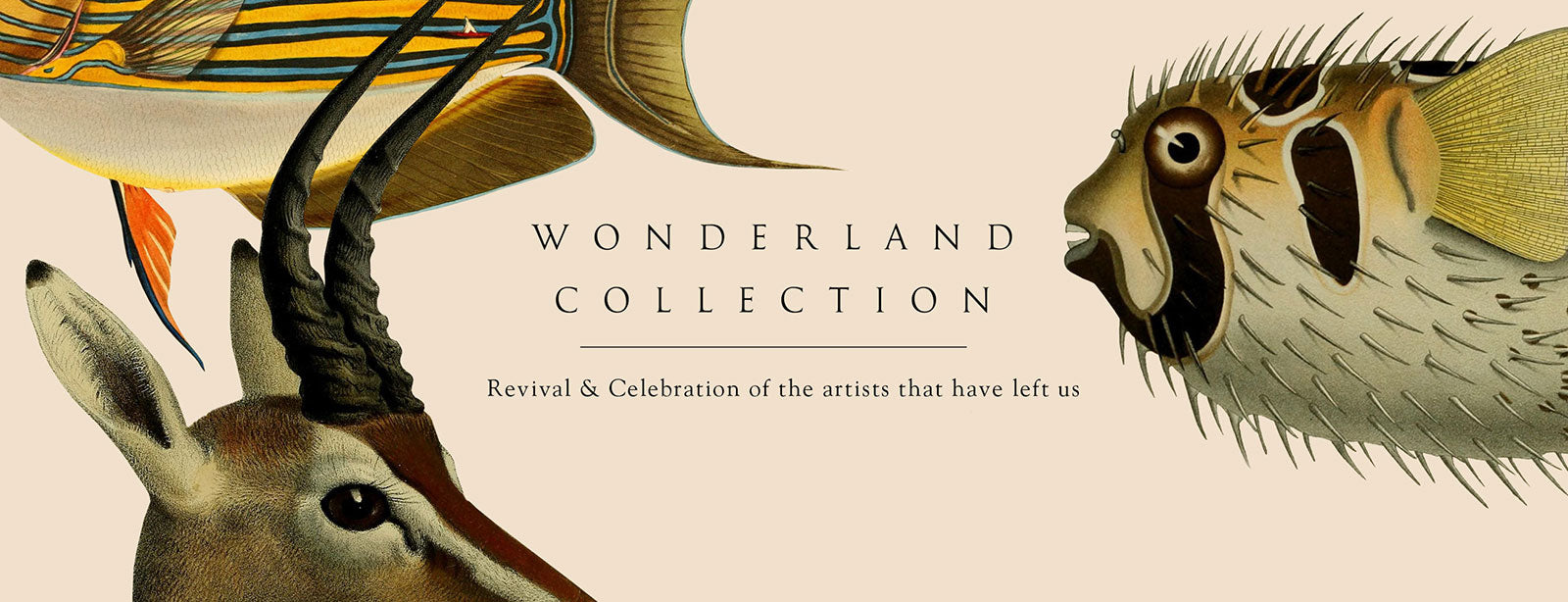 Wonderland