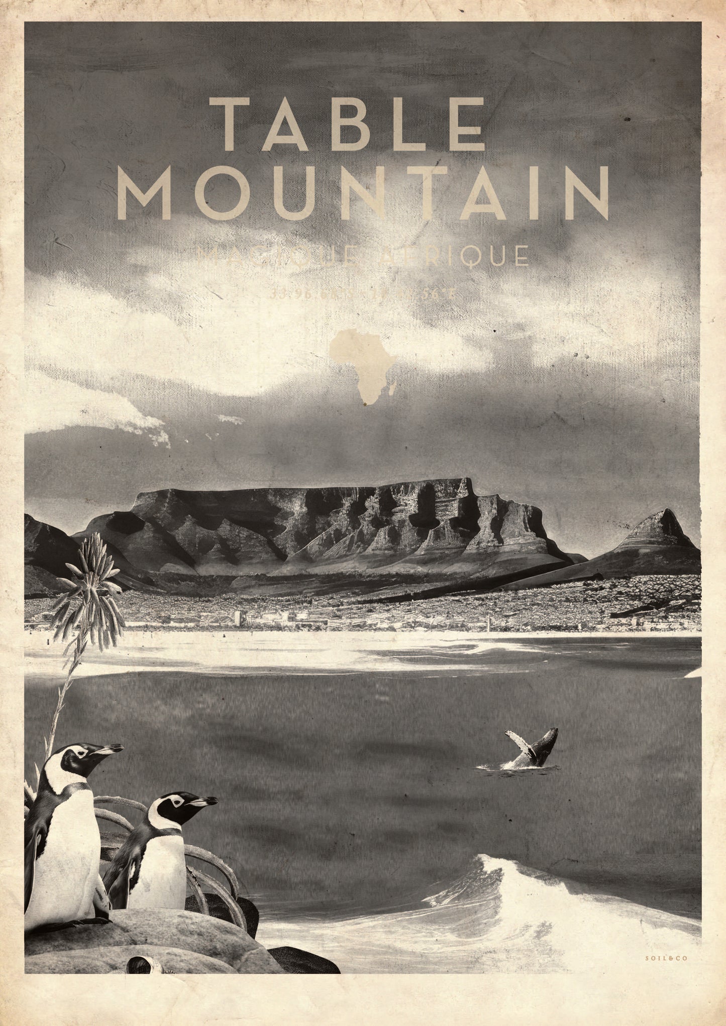 Magique Afrique Local Greyscale (Table Mountain)