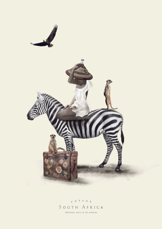 Voyage - Zebra