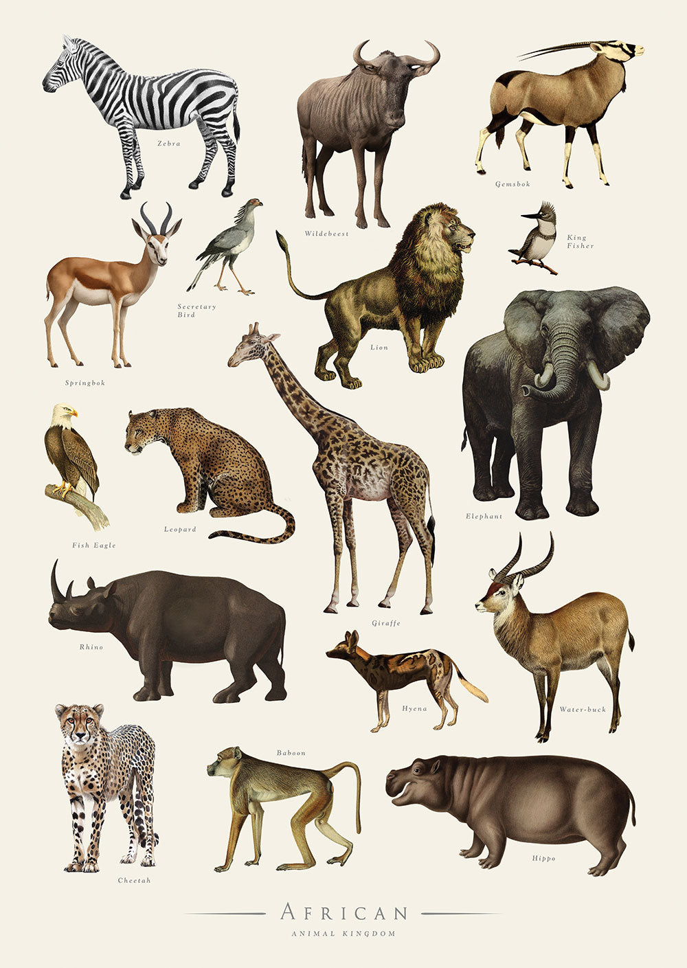 Animal Chart