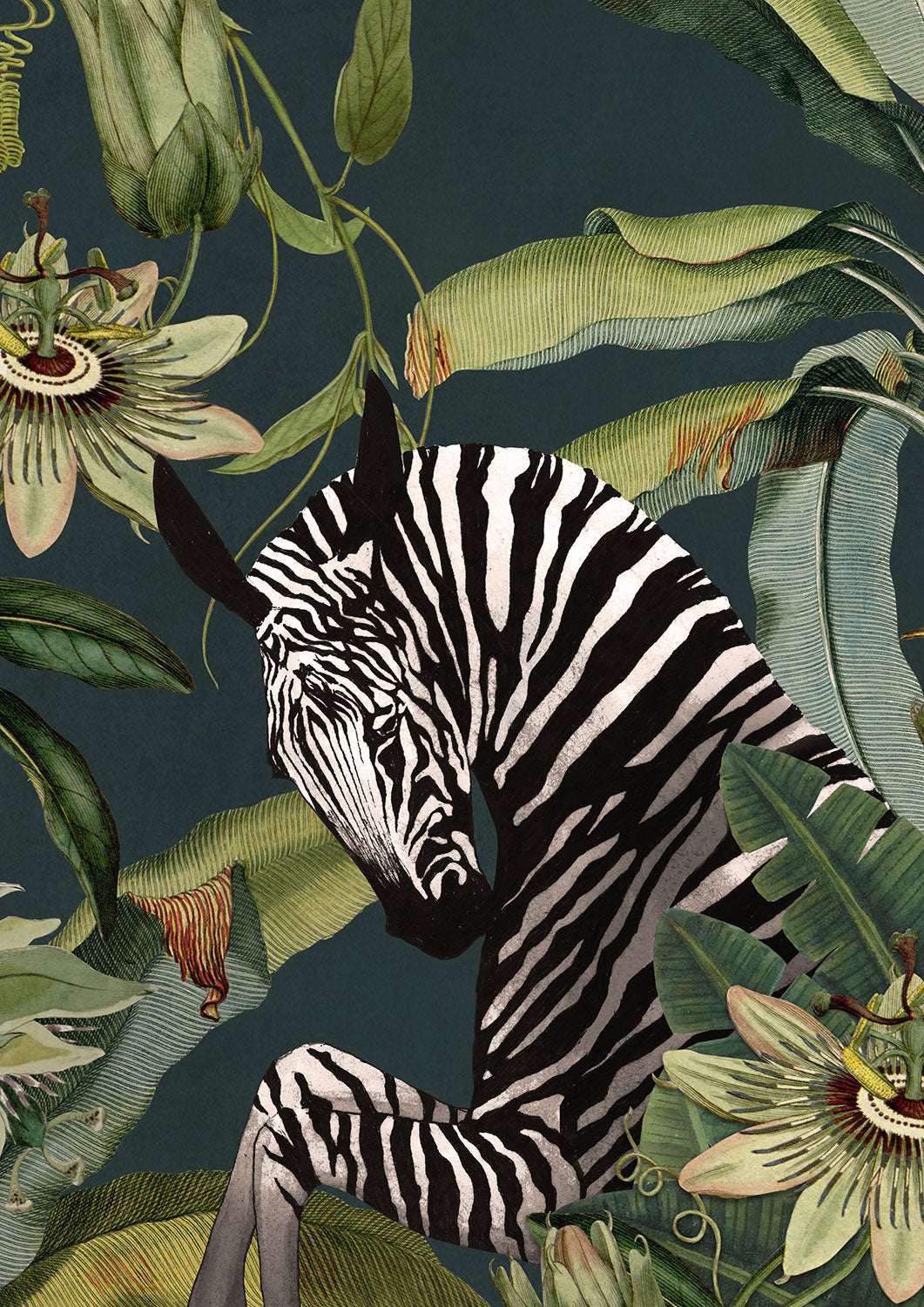 Zebra - Peacock Blue