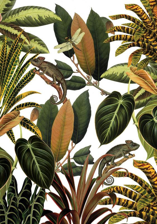 Chameleon - Cream