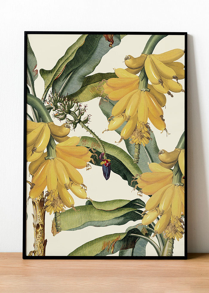 Soil-Prints_0015_AfricanEdition_Cheetah-copy-4