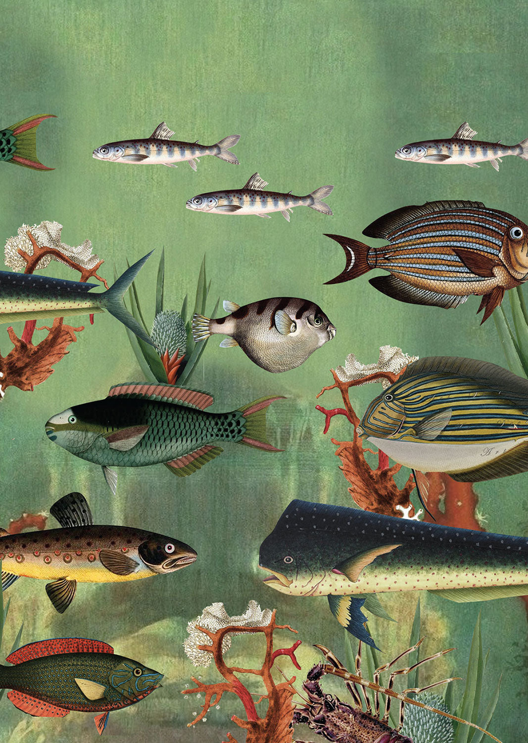 Max's Fish