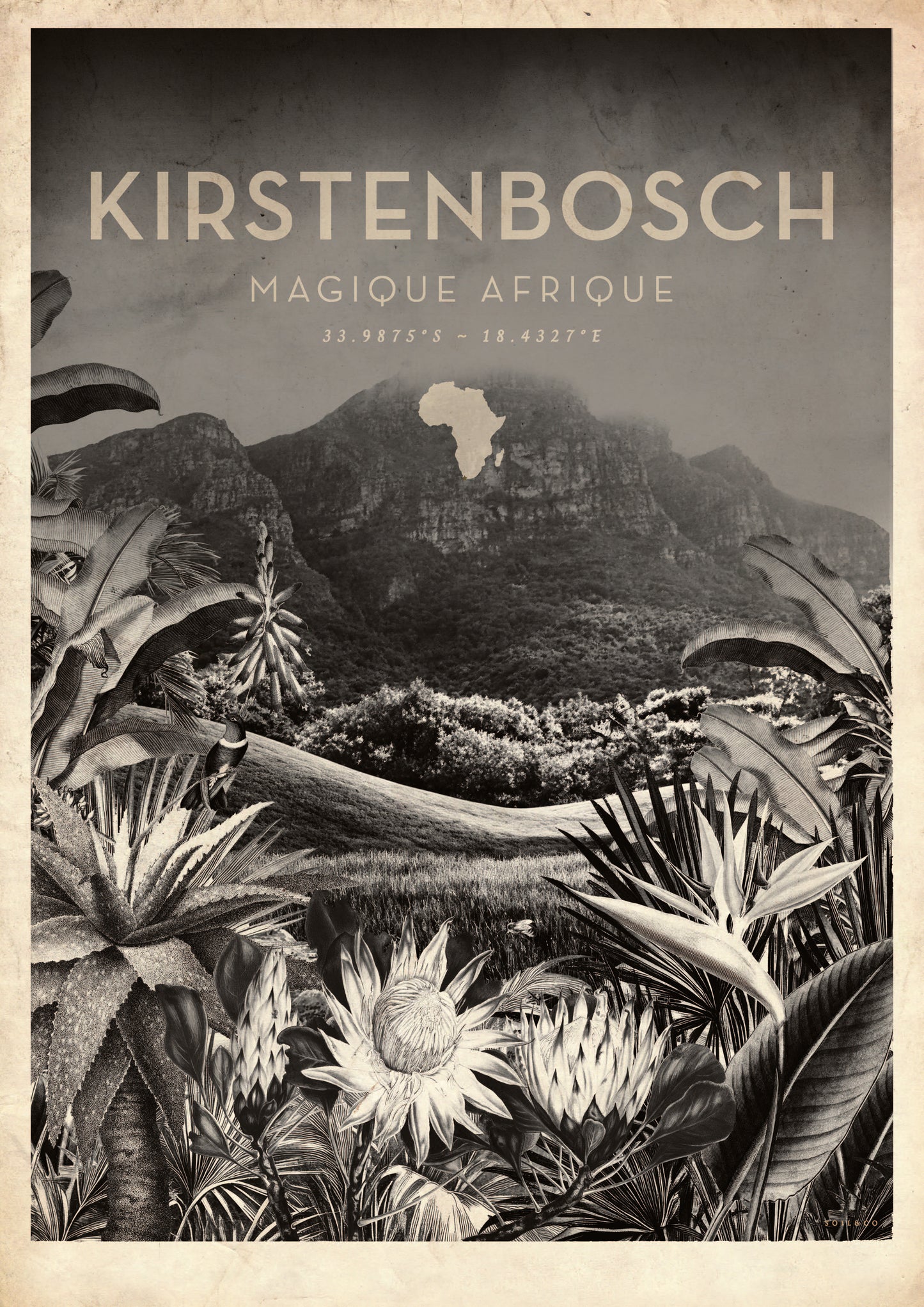 Magique Afrique Local  Greyscale (Kirstenbosch)