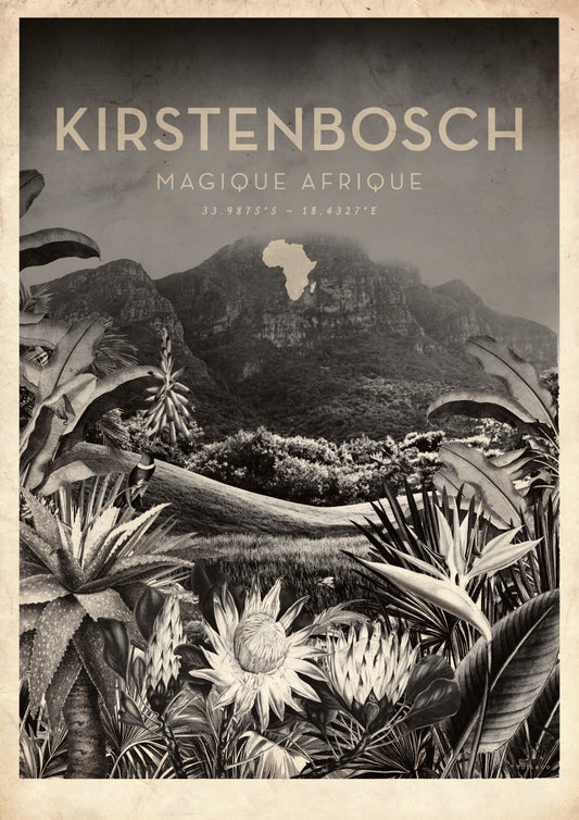 Magique Afrique Local  Greyscale (Kirstenbosch)