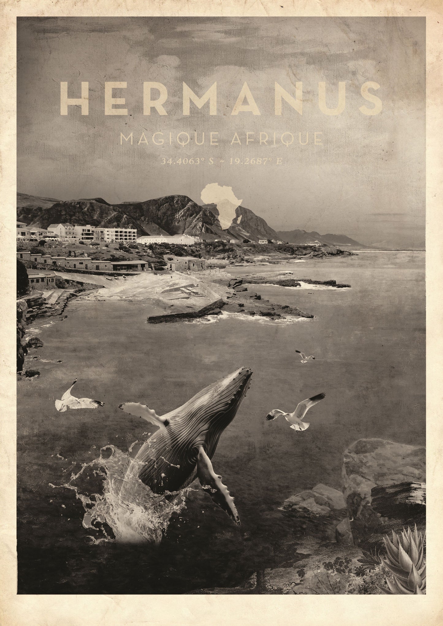Magique Afrique Local  Greyscale (Hermanus)
