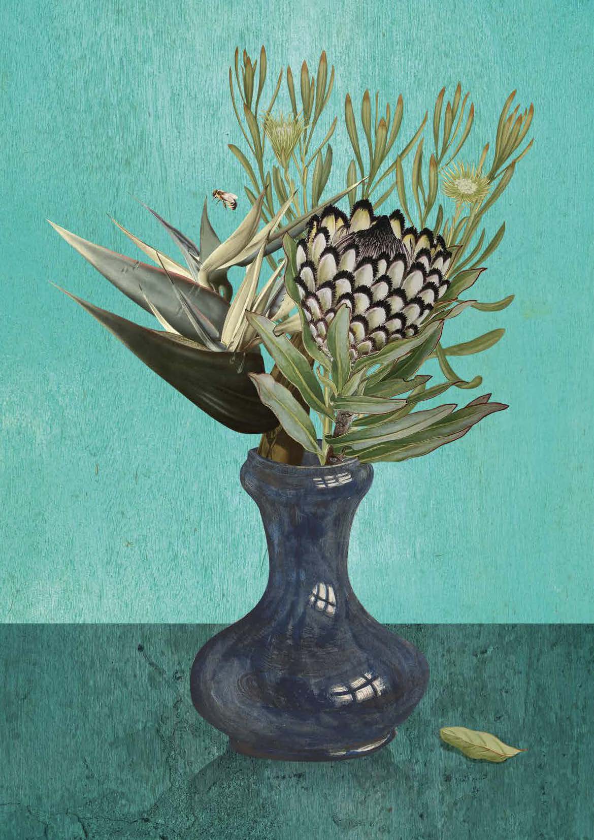 Protea Still Life (Turk)