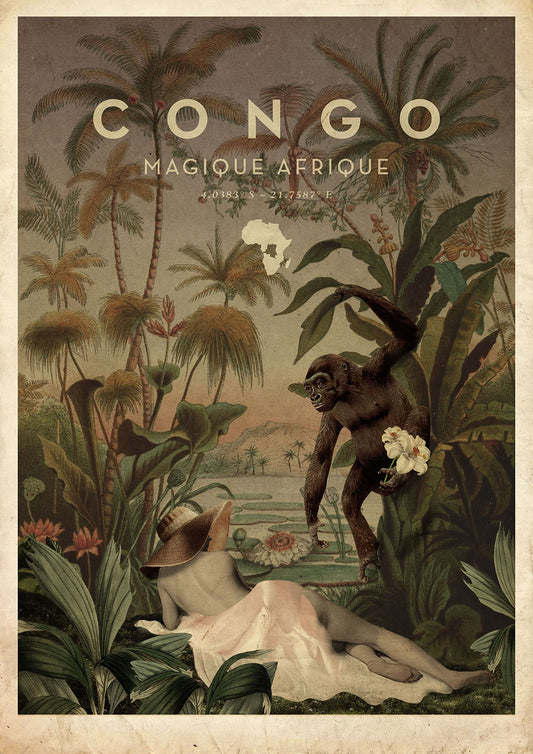 Congo - Gorilla
