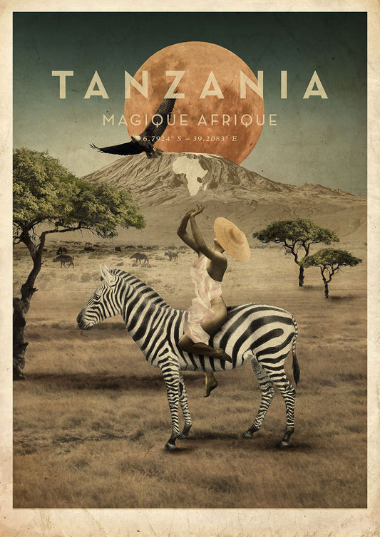 Tanzania - Zebra
